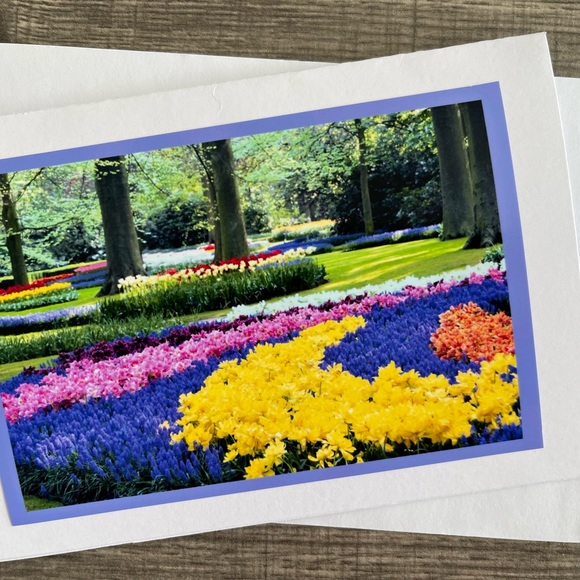 Six 5x7 Blank Tulip Photo Greeting cards - Picture 5 of 7